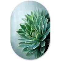 MuchoWow Muurovaal 80x120 cm - Ovale wanddecoratie Vetplant - Bladeren - Groen - Wazig - Ovalen schilderij - Muurdecoratie woonkamer - Kamer decoratie - Schilderijen - Wandcirkel
