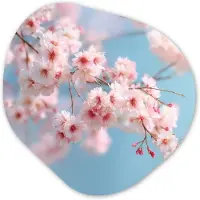 MuchoWow Organische wanddecoratie 90x90 cm - Organisch schilderij Takken - Bloesems - Roze - Muurdecoratie woonkamer - Kamer decoratie - Schilderijen - Muurcirkel aesthetic