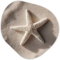 MuchoWow Organische wanddecoratie 40x40 cm - Organisch schilderij Strand - Zeester - Zand - Beige - Muurdecoratie woonkamer - Kamer decoratie - Schilderijen - Muurcirkel aesthetic