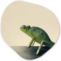 MuchoWow Organische wanddecoratie 90x90 cm - Organisch schilderij Kameleon - Groen - Minimalistisch - Muurdecoratie woonkamer - Kamer decoratie - Schilderijen - Muurcirkel aesthetic