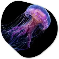 MuchoWow Organische wanddecoratie 90x90 cm - Organisch schilderij Kwal - Doorzichtig - Roze - Tentakels - Muurdecoratie woonkamer - Kamer decoratie - Schilderijen - Muurcirkel aesthetic