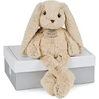 Histoire D'ours Pluche - VERHAAL VAN EEN BEER - De Knuffelvrienden - Beige Konijn - Binnen - Unisex