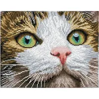 Diamond Dotz Green Eyed Beauty