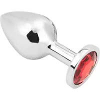 PLGZ - Rosebud Metalen Buttplug - Zilver - Rode Siersteen - Verkrijgbaar in 3 maten Medium