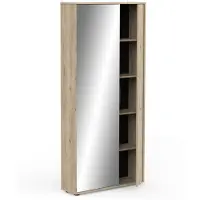CALICOSY Schoenenkast 2 deuren en 1 spiegel l82,8 cm ebony