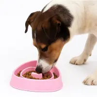 Nobleza Anti Schrokbak Hond - Slowfeeder - Hondenvoerbak - Voerbak Hond - Anti Slip - Schrokbak Puppy - Roze