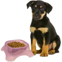 Nobleza Voerbak hondje - Maat S - Inhoud 375ml - Honden drinkbak - Voerbak kat - Drinkbak kat - Kunststof - Anti slip -Roze