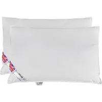 Homescapes Hoofdkussens 50x70 cm – Set van 2 – Medium Zacht – 100% Eendenveren – Anti-Allergisch – Voor Zijslaper & Nekklachten – Oeko‑Tex Gecertificeerd