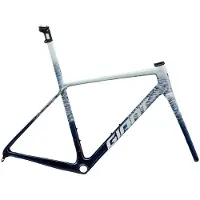 Giant Tcr Advanced Sl 2026 Racefietsframe