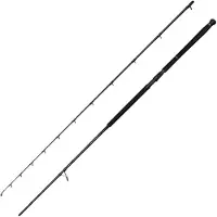 Savage Gear Defiance Sg2 Shore Jigging Rod Zilver 2.90 m / 20-80 g