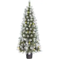 Black Box Kunstkerstboom Norton Besneeuwd Met 60 Lampjes Warm Wit D 60 H 120 Cm