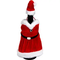 Unique living Kerstjurkje Wijnfles Santa Rood 15 X 25 Cm