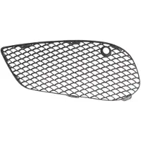 BLIC Bumper - ventilatierooster 6502-07-3521913P links