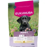 Eukanuba Hondenvoer Droog Life Care Dog Puppy Large Kip 800 Gr