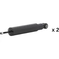 RIDEX 854S20925 Schokdemper