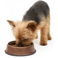 Nobleza Voerbak en Drinkbak Hond en Kat - RVS - 200 ml - Antislip - Houtlook - XS
