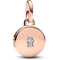 Pandora Charm Goud
