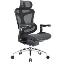 Sihoo Doro C300 Pro ergonomische bureaustoel met ultrazachte 6D-armleuningen, dynamische lendensteun, verstelbare zitdiepte en verstelbare rugleuning, voor thuiswerk (zwart)