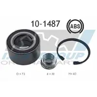 IJS GROUP 10-1487 Wiellagerset