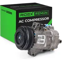 RIDEX 447K0227R Aircopomp