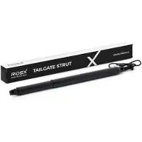 RIDEX 219G1179 Gasveer achterklep