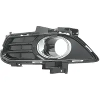 BLIC 6502-07-2558997P Ventilatiegrille, bumper