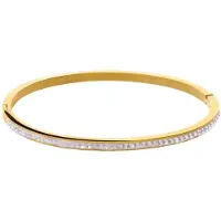 Lucardi - Dames Stalen goldplated bangle small met kristal - Armband - Staal - Goudkleurig - 58 mm