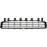 BLIC 6502-07-6041999P Ventilatiegrille, bumper