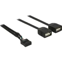 DeLOCK - Adaptateur interne vers externe USB - connecteur USB 10 broches (F) pour USB (F) - 40 cm - noir