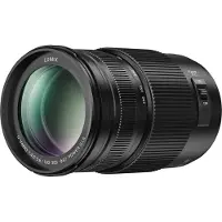 Panasonic Lumix G Vario 100-300mm f/4.0-5.6 II OIS