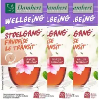 Damhert Theetijd Stoelgang 3x20 St Filterzakje