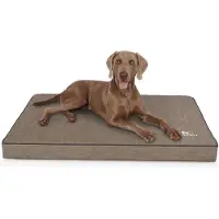 Knuffelwuff orthopedische hondenmat Palomino van met laser doorstikt kunstleer XL 100 x 70 cm stone