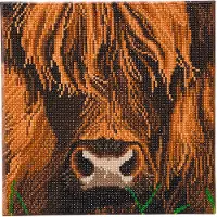 Crystal Art diamond painting kit Highland Cow 30 x 30 cm