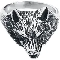 EtNox hard and heavy - Gothic Ring - Wolf Packs - zilverkleurig - Maat S