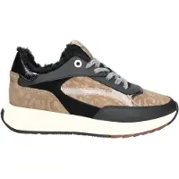 Floris van Bommel Sneakers laag 'Suvi 02' bruin / goud / zwart