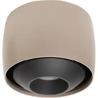 Highlight Spot Amora Champagne gold