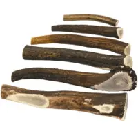 Brekz Snacks - Antler voor de hond Giant - Per 2