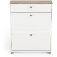 CALICOSY Schoenenkast met 2 neerklapbare deuren en 1 lade, eiken kronberg en wit decor -