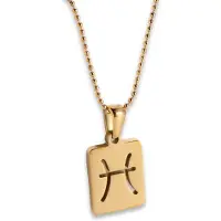 Marama - Ketting Sterrenbeeld Vissen - 18K verguld goud - stainless steel - horoscoop - damesketting - ballchain - zodiac - cadeau dames - ketting met hanger