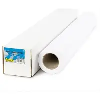 123inkt Standard paper roll 610 mm (24 inch) x 50 m (80 grams)