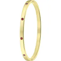 Lucardi Armband goud / lila