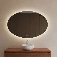 Boss & Wessing Bws badkamerspiegel | spark ovale | met led verlichting | 75x100 cm