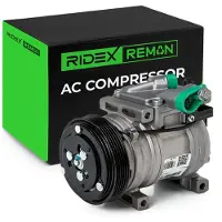 RIDEX 447K0487R Aircopomp