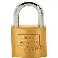 Burg wachter 3051 Hangslot 35.00 mm Verschillend sluitend Messing Sleutelslot