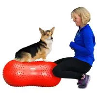 FitPAWS Trax Peanut