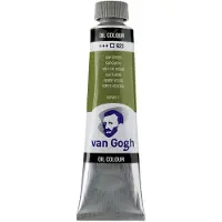 Taidepiste van Gogh olieverf - 40 ml - sapgroen 623