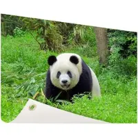 MuchoWow Grote panda in het gras Tuinposter 200x100 cm - Tuindoek / Buitencanvas / Schilderijen voor buiten (tuin decoratie) XXL / Groot formaat!