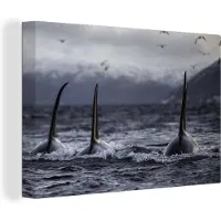 MuchoWow Canvas Schilderij Drie orkas - 90x60 cm - Wanddecoratie