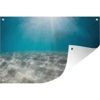 MuchoWow Zonlicht op de zeebodem Tuinposter 180x120 cm - Tuindoek / Buitencanvas / Schilderijen voor buiten (tuin decoratie) XXL / Groot formaat!