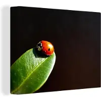 MuchoWow Lieveheersbeest blad zwarte achtergrond Canvas 40x30 cm - klein - Foto print op Canvas schilderij (Wanddecoratie woonkamer / slaapkamer)
